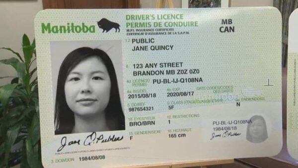 Get Canadian Driver's License
